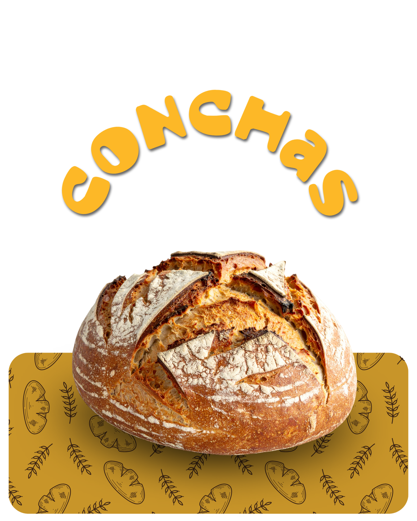 Conchas